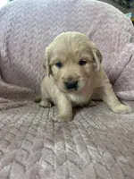 processed/bdbb4596-6e27-4b66-8917-a8a84c1d9ec2/listing/7ba91cf1-72fe-4a48-a7f3-eb492fa0f91b/90a83ba5-9f33-4449-96f4-09776d8660e6