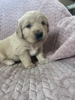 processed/bdbb4596-6e27-4b66-8917-a8a84c1d9ec2/listing/7ba91cf1-72fe-4a48-a7f3-eb492fa0f91b/de477c55-c6f8-4502-afd7-aace22b5bea6