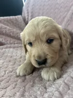 processed/bdbb4596-6e27-4b66-8917-a8a84c1d9ec2/listing/7ba91cf1-72fe-4a48-a7f3-eb492fa0f91b/f98564d2-9d50-42c7-bfc2-2216e5bdbe36