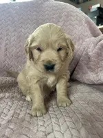 processed/bdbb4596-6e27-4b66-8917-a8a84c1d9ec2/listing/88f47879-4448-4865-a218-02db1b3abfe8/47ab8121-c2fe-47bf-af81-610111671795