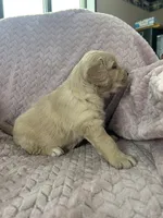 processed/bdbb4596-6e27-4b66-8917-a8a84c1d9ec2/listing/88f47879-4448-4865-a218-02db1b3abfe8/84225e8b-d37c-4e49-a97b-2cea0def9a91