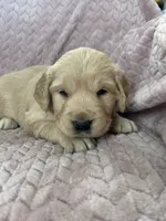 processed/bdbb4596-6e27-4b66-8917-a8a84c1d9ec2/listing/88f47879-4448-4865-a218-02db1b3abfe8/9a984e2f-d856-4c12-bf2c-89c614b0d072