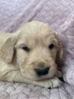 processed/bdbb4596-6e27-4b66-8917-a8a84c1d9ec2/listing/88f47879-4448-4865-a218-02db1b3abfe8/b146e618-47a1-4d03-a280-12bf5075a73f