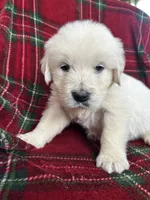 processed/bdbb4596-6e27-4b66-8917-a8a84c1d9ec2/listing/8f258bea-c5fe-4727-994e-48830000ffd3/9a96567a-3add-4b4b-9035-b224d6ff0366