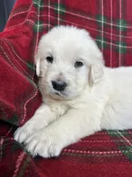 processed/bdbb4596-6e27-4b66-8917-a8a84c1d9ec2/listing/ba938a4e-d6e9-4c94-9384-ab6dd8b722eb/51a68882-7a15-4ab3-b704-e9abe16c7fa9