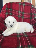 processed/bdbb4596-6e27-4b66-8917-a8a84c1d9ec2/listing/ba938a4e-d6e9-4c94-9384-ab6dd8b722eb/54d83d49-8b5d-4ffc-a685-f803260e5d35