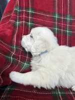 processed/bdbb4596-6e27-4b66-8917-a8a84c1d9ec2/listing/ba938a4e-d6e9-4c94-9384-ab6dd8b722eb/61fff19e-1927-42a6-9d24-bea2c35f0afc