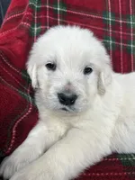 processed/bdbb4596-6e27-4b66-8917-a8a84c1d9ec2/listing/ba938a4e-d6e9-4c94-9384-ab6dd8b722eb/664f034a-d5e5-4795-9922-275e74f13838