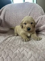 processed/bdbb4596-6e27-4b66-8917-a8a84c1d9ec2/listing/dff01313-2f3a-44bd-8c41-2903c16ae9e3/5b844698-05ce-40f2-bc70-9199d72f6b47