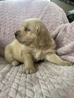 processed/bdbb4596-6e27-4b66-8917-a8a84c1d9ec2/listing/dff01313-2f3a-44bd-8c41-2903c16ae9e3/9c43a1d7-3cb3-4aa9-b29f-27a9066eaf18