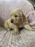 processed/bdbb4596-6e27-4b66-8917-a8a84c1d9ec2/listing/dff01313-2f3a-44bd-8c41-2903c16ae9e3/d993ec64-2a4e-4080-b2ca-54461e18c2ab