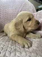 processed/bdbb4596-6e27-4b66-8917-a8a84c1d9ec2/listing/dff01313-2f3a-44bd-8c41-2903c16ae9e3/e81b7e79-ceb2-427e-abf3-594503442459