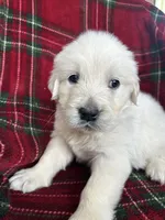 processed/bdbb4596-6e27-4b66-8917-a8a84c1d9ec2/listing/ee9f61c0-5b0d-486d-8780-cae5565f371b/0ea2180c-d847-4802-8c60-f7fb2b87ac5d