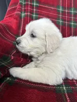 processed/bdbb4596-6e27-4b66-8917-a8a84c1d9ec2/listing/ee9f61c0-5b0d-486d-8780-cae5565f371b/104a6313-6225-41eb-afc6-81a40fa974fb