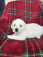 processed/bdbb4596-6e27-4b66-8917-a8a84c1d9ec2/listing/ee9f61c0-5b0d-486d-8780-cae5565f371b/ccfd4e9d-4ae0-422e-8d37-a04ea28cda55