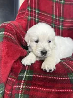 processed/bdbb4596-6e27-4b66-8917-a8a84c1d9ec2/listing/ee9f61c0-5b0d-486d-8780-cae5565f371b/deb1dba3-99b2-4720-8c51-927f3499f42e