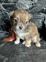 processed/bdbdae8d-308c-4f65-8f64-35b225d78719/facility/2fe1c497-1608-478c-8243-5a4fe31ee18d