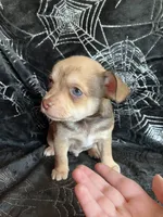 processed/bdbdae8d-308c-4f65-8f64-35b225d78719/facility/8ba5e426-771b-4161-a33c-2b1e64f7efc3