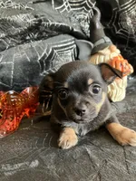 processed/bdbdae8d-308c-4f65-8f64-35b225d78719/facility/94169bf8-3070-4ca4-960c-b7bf75850c23