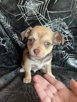 processed/bdbdae8d-308c-4f65-8f64-35b225d78719/facility/ac9801a1-f003-4429-a76d-1cc5adb0f76d