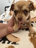 processed/bdbdae8d-308c-4f65-8f64-35b225d78719/facility/f7ed880f-94d6-4600-8b2f-e6731bb4aeda