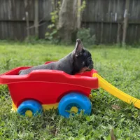 processed/bdcadb00-ae57-4bb8-a112-abf478fc4ffa/facility/10fdf23f-0336-4f51-9a3d-a7b7015d70df