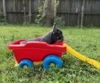 processed/bdcadb00-ae57-4bb8-a112-abf478fc4ffa/facility/10fdf23f-0336-4f51-9a3d-a7b7015d70df