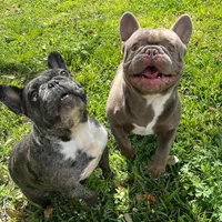 processed/bdcadb00-ae57-4bb8-a112-abf478fc4ffa/facility/1a60bd57-144e-4402-a1c7-d1ae05825d21