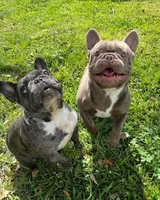 processed/bdcadb00-ae57-4bb8-a112-abf478fc4ffa/facility/1a60bd57-144e-4402-a1c7-d1ae05825d21