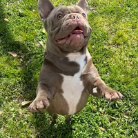 processed/bdcadb00-ae57-4bb8-a112-abf478fc4ffa/facility/8f88ef4e-82f8-471b-b866-ad0643823169