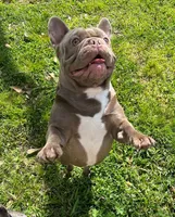 processed/bdcadb00-ae57-4bb8-a112-abf478fc4ffa/facility/8f88ef4e-82f8-471b-b866-ad0643823169