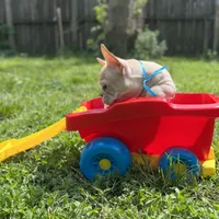 processed/bdcadb00-ae57-4bb8-a112-abf478fc4ffa/facility/932e68ad-1357-4e21-a45c-060e1949ae42