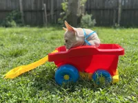 processed/bdcadb00-ae57-4bb8-a112-abf478fc4ffa/facility/932e68ad-1357-4e21-a45c-060e1949ae42