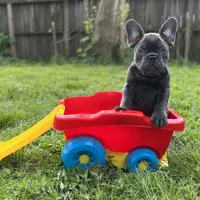 processed/bdcadb00-ae57-4bb8-a112-abf478fc4ffa/facility/a9e8426b-4563-402c-a2ba-482ea3d2fb5d