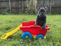 processed/bdcadb00-ae57-4bb8-a112-abf478fc4ffa/facility/a9e8426b-4563-402c-a2ba-482ea3d2fb5d