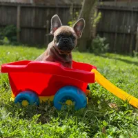 processed/bdcadb00-ae57-4bb8-a112-abf478fc4ffa/facility/b3db1f35-86ec-4ad7-a8cf-8c99bf3fb852