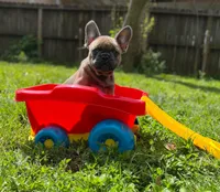 processed/bdcadb00-ae57-4bb8-a112-abf478fc4ffa/facility/b3db1f35-86ec-4ad7-a8cf-8c99bf3fb852