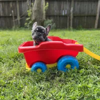 processed/bdcadb00-ae57-4bb8-a112-abf478fc4ffa/facility/dc6ae137-9636-403c-9d25-8443a1a5e9e6