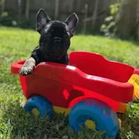 processed/bdcadb00-ae57-4bb8-a112-abf478fc4ffa/facility/ffc64d4e-b511-461d-b188-2925e7b291ae