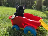 processed/bdcadb00-ae57-4bb8-a112-abf478fc4ffa/facility/ffc64d4e-b511-461d-b188-2925e7b291ae