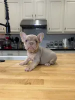 processed/bdcadb00-ae57-4bb8-a112-abf478fc4ffa/listing/06219e7b-c409-4270-8b97-8b4831f496d3/0662a942-3558-4db1-bd34-13ec538324e6