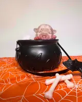 processed/bdcadb00-ae57-4bb8-a112-abf478fc4ffa/listing/06219e7b-c409-4270-8b97-8b4831f496d3/2d18ce81-b227-4451-b4b0-3a81f4067d85