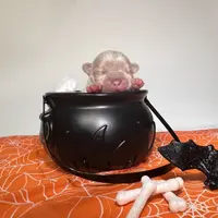 Freddy, a male French Bulldog for sale in Houston, TX – Photo 4 of 10