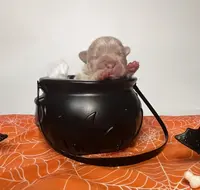 processed/bdcadb00-ae57-4bb8-a112-abf478fc4ffa/listing/06219e7b-c409-4270-8b97-8b4831f496d3/e4284099-1a0d-48bb-a12f-1088bdc280cd