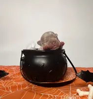 processed/bdcadb00-ae57-4bb8-a112-abf478fc4ffa/listing/06219e7b-c409-4270-8b97-8b4831f496d3/ed8257ea-4465-48e0-886f-ebe3719b0f78