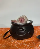 processed/bdcadb00-ae57-4bb8-a112-abf478fc4ffa/listing/06219e7b-c409-4270-8b97-8b4831f496d3/ffa07571-332e-476d-abf9-5e120f6c94b5