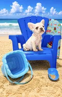 Jay Z , a male French Bulldog for sale in Houston, TX – 2 of 5