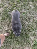 processed/bdcadb00-ae57-4bb8-a112-abf478fc4ffa/listing/b5a14a39-8c67-4257-b37a-2136181859d2/444b1339-7125-42a3-b3b8-c1d33bd3711c