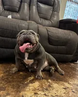 processed/bdcadb00-ae57-4bb8-a112-abf478fc4ffa/listing/b5a14a39-8c67-4257-b37a-2136181859d2/5a215eb1-c383-4658-9ec7-eaea42b9154d