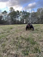 processed/bdcadb00-ae57-4bb8-a112-abf478fc4ffa/listing/b5a14a39-8c67-4257-b37a-2136181859d2/93020520-5051-482c-8344-008fbf720d2c